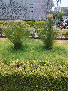 Centro Cultural Carranza thumb 2